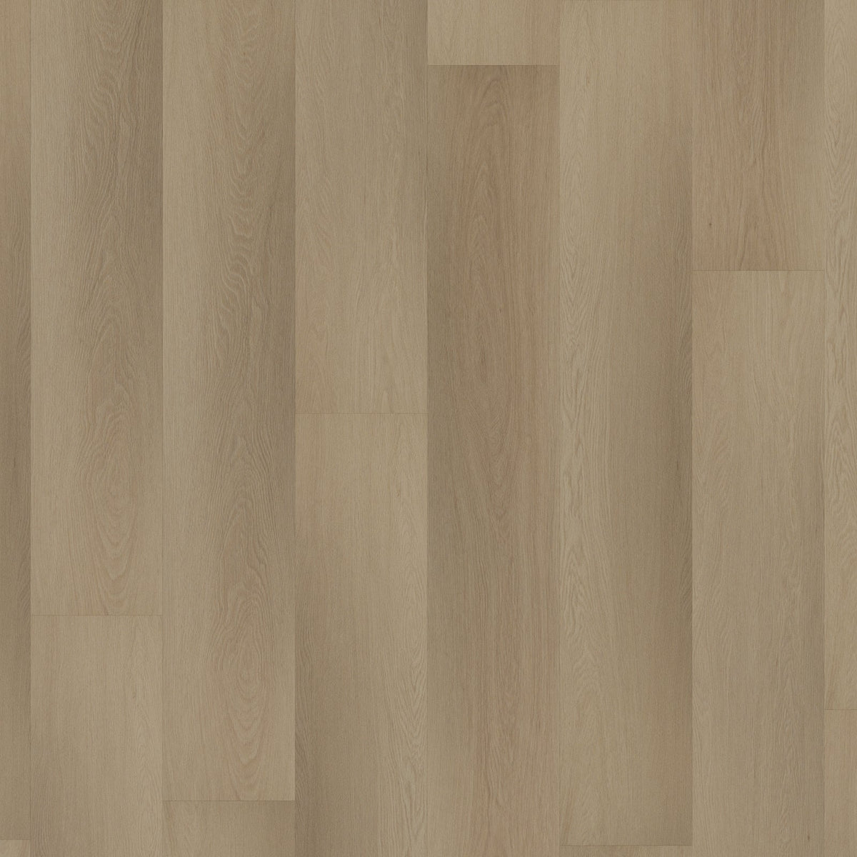 ROOM5 Charming Suite Strisce dritte Incolla PVC 555 - 100108 - Solza.it