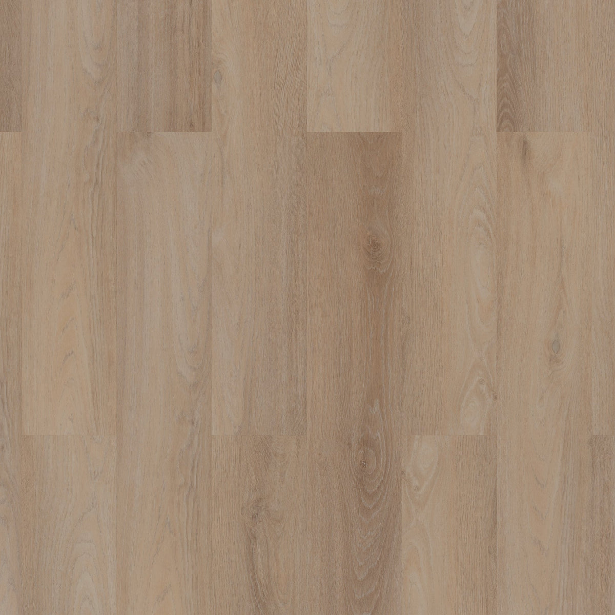 ROOM5 Royal Champagne Planks Strisce diritte Incolla PVC 555100101 - Solza.it